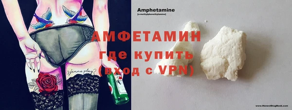гидра Богданович