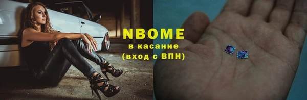 spice Богородицк