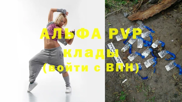spice Богородицк