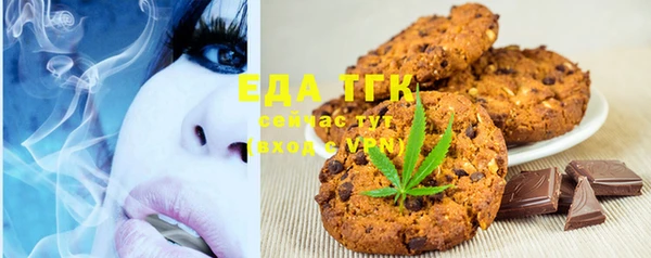 spice Богородицк