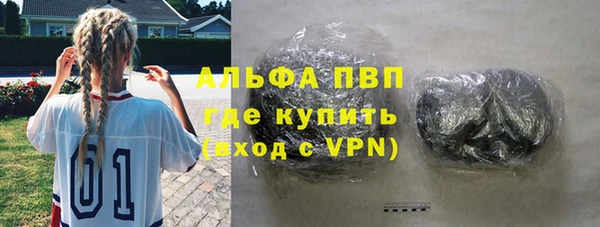 гидра Богданович