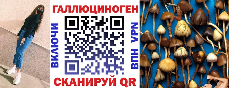 купить наркоту  Колпашево  Псилоцибиновые грибы ЛСД 