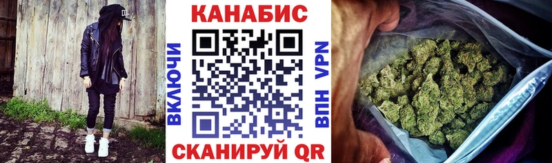 KRAKEN   Колпашево  Бошки Шишки семена 